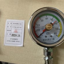 宇成矿用综采双针耐震压力表 BZY-60 KJ10接头抗震表