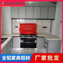 全铝家居厨房橱柜台 铝合金全铝家具厨房柜型材
