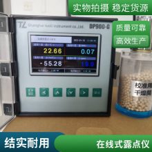 吸附式干燥机露点仪 无热吸干机在线露点仪 防爆露点仪厂家