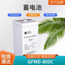 GFMD-800Cʥ2V800AHܷʽĽƿ