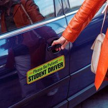 ˾ʵϰԷó***student driver־