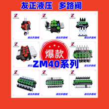 ZM40MD-T/OOAY÷Һѹͬ·1-10Һѹ