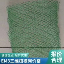 护坡固土三维植被网 世杰EM5加筋土工网垫 三维网改变地表理化性能