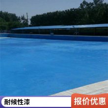 管道防腐涂料 环保鱼池漆 耐酸碱 白色型 品种多样