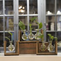 美式乡村透明玻璃花瓶微景观花器植物培养器皿家居工艺品摆件批发