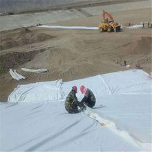 ����һĤ���������Ҷ��� 300g-1800g��������һĤ������ ��ӭ���紹ѯ