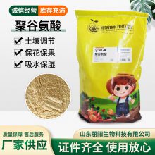 山东丽阳农业级聚谷氨酸30%含量粉剂全水溶