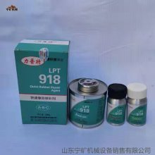LPT918޲ ʱABC300g