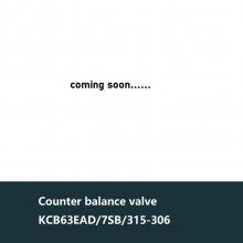 balance valve KCB63EAD-7SB315-306Ʒ