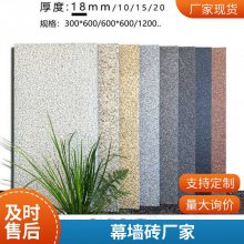 300*600mm地铺石石英砖pc砖室外园林广场景观砖防冻防滑幕墙砖