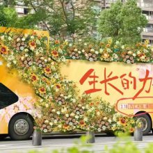 湖南双层巴士出租 双层观光大巴租赁 双层巴士巡游展示