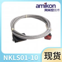 ʡ·ӿڵNKLS01-10ʡֱ