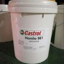 ʵVG1000Castrol CRESTA SHS 18