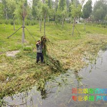 нӱ«έո ԰«έո ʪ«έո רҵĻרҵ