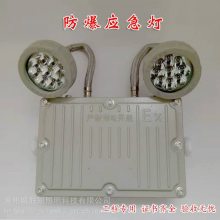 BXW6229˫ͷӦBCJ-2X20ӦưȫָʾƳ