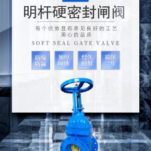 Z41T-10Q/16Q Ӳܷͭоīբϸ߷բ