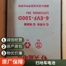6-EVF-100綯ϴػ12V100AH泵ֵ
