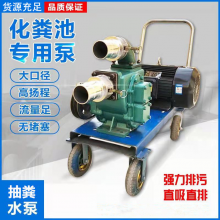 电机动力不阻塞排污水泵 河道清淤泥浆泵 养鸭场养鸡场抽粪泵4寸