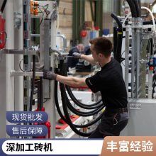 德国海斯 制砖机 路面砖设备 整理机全自动RH2000