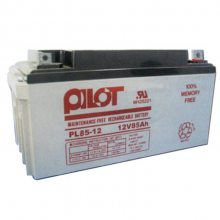 PILOTPL100-12 12V100AHUPS/EPSʹ