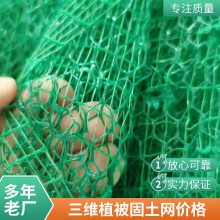 广东世杰三维复合排水网 抗拉强度高 化学性能与物理性能稳定