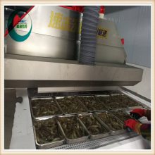 酒泉 毛肚 ***温速冻 液氮用量少