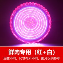 ledʵ ʳгеҹн̯ܰ