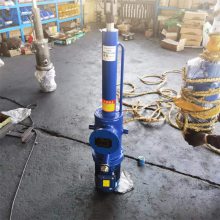 DYTZ1000-250ҺƸ ֱʽҺƸ