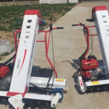 厂家直销粮食装袋机 汽油粮食收集机