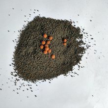 生物陶粒滤料（高效挂膜轻质生物陶粒）园林陶粒