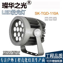 費SK-TGD-210A LEDͶƻˮԲνṹͶƲص