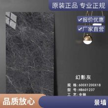 20mm厚600x1200mm亮光面珍珠蓝石英砖别墅楼盘园林景观幕墙干挂墙砖仿石材瓷砖PC砖
