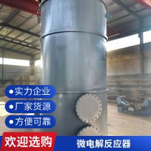 厌氧塔催化氧化塔 芬顿反应器维护保养 铁碳微电解 产地生产
