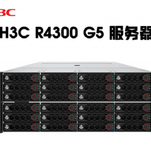 |H3C R4300 G5 4U·洢Żͻܷ