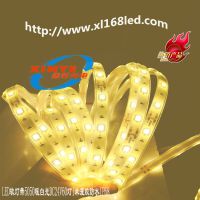 LED5050软灯条 防水软灯带60灯一米 灌胶IP68 户外光源高亮 DC12V厂家直销