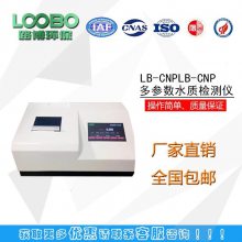 ЯʽˮʲⶨLB-CNPLB-CNP ˮʼǹ·