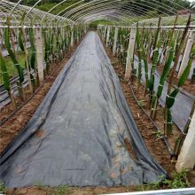 0.9�׿�������ݲ��۸�����԰�յز����ҷ��ݲ�