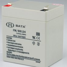 FM/BB124豴12V4AHUPS/EPSϵԴ