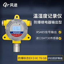 FT-WSD3实时温度记录仪 温湿度记录仪 防爆继电器输出型