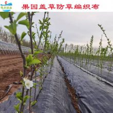 润业土工 1.5米宽黑色防草编织布 苹果树盖草地布