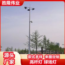成都胜隆定制 升降式广场球场高杆灯 15米20米25米大功率照明灯