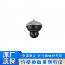 DH-PSDW81649M-A360-D249-HL