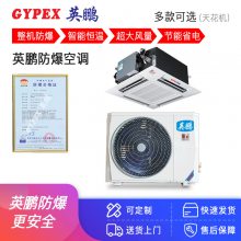 Ӣ GYPEX 컨յҵʯͻ﹤̿յBFKT-5.0T 220V