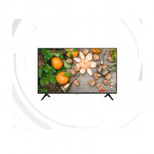 DS-D5055UE 55Һ ֧ıͼƬƵƵ