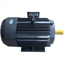 ȫͭ첽綯220VС