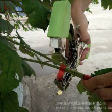 小型枝条捆绑机 胶带钉子葡萄绑枝机 黄瓜西红柿架秧固定绑蔓器