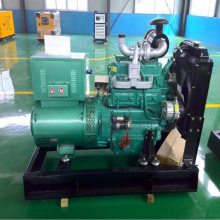 潍柴50KW全自动柴油发电机组 养虾专用双电源全铜发电机