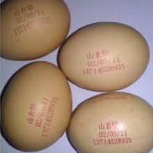 德州小字符, 食品, 包装袋, 日期喷码机