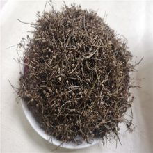 白花舌草的药用价值 白花舌草批发 产地直发