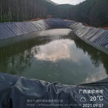 广西养猪场污水处理设备 竹源供应 气浮机 提供污水处理工艺咨询服务